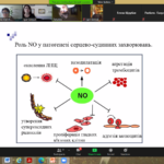02 жовтня 2020 р. було проведено науково-практичну дистанційну конференцію з міжнародною участю "Актуальні питання експериментальної та клінічної біохімії"