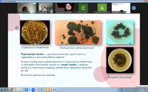 ХХХІ International Scientifical and Practical Conference  of Young Scientists and Students TOPICAL ISSUES OF NEW MEDICINES DEVELOPMENT
